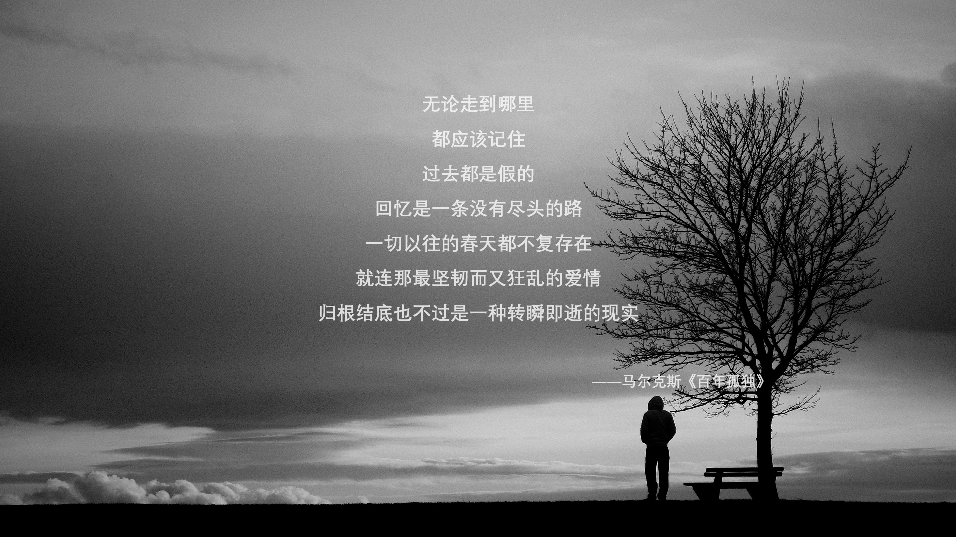 华体会体育-霓虹深渊，F1街道赛之夜，那双改写结局的隐形之手