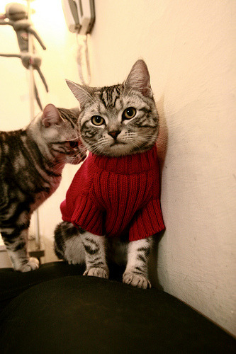 双星颠覆剧本，巴黎铁血绞杀克罗地亚巨舰，黄喜灿于国家德比谱写亚洲新权杖