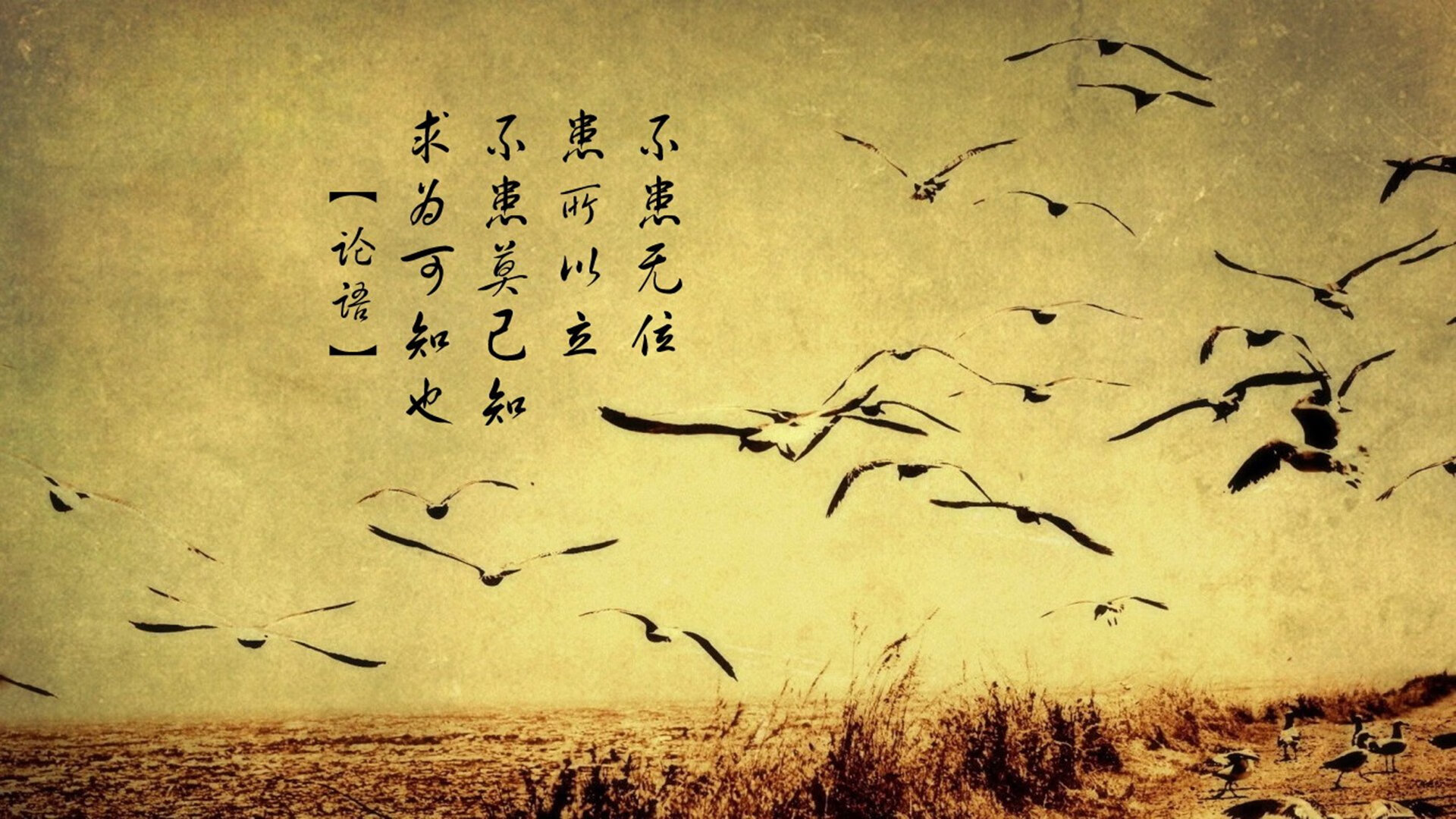 冰与火的默契，范戴克引领阿联酋冰岛之战，2026世界杯D组的唯一剧本